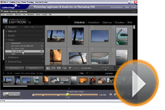 Die Bibliothek von Photoshop Lightroom