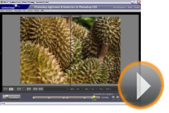 Entwickeln mit Photoshop Lightroom