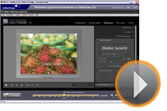 Bilder ausgeben in Photoshop Lightroom
